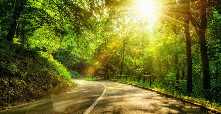 image of a windging country road representing the road to recovery from Grief